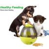 Cats and Dogs Food Dispenser Tumbler